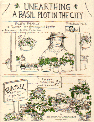 Unearthing a Basil Plot in the City